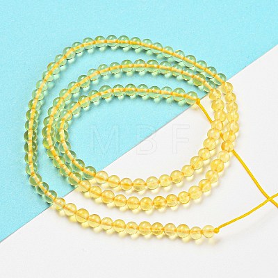 Natural Amber Beads Strands G-L584-02-01-1