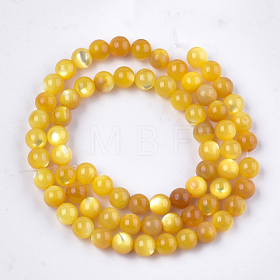 Yellow Shell Beads Strands SHEL-T012-50E-1