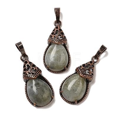 Natural Labradorite Pendants G-H065-01R-05-1