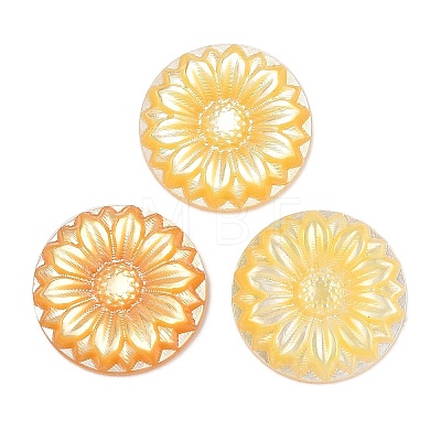 Natural Yellow Shell Carved Cabochons SSHEL-I026-17B-1