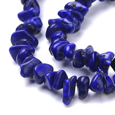 Natural Magnesite Beads Strands TURQ-P001-02A-04-1