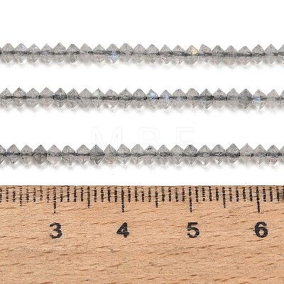 Natural Labradorite Beads Strands GG-CBAA9B4-A06-02-1