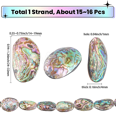 1 Strand Natural Abalone Shell/Paua Shell Beads Strands SSHEL-SC0001-64-1
