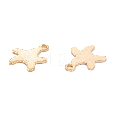 201 Stainless Steel Charms STAS-C017-06G-1