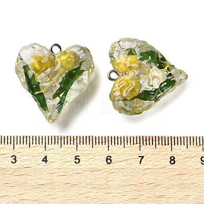 Inner Dried Flower Transparent Resin Pendants RESI-A043-03A-1