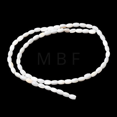 Natural Freshwater Shell Beads Strands SHEL-K006-06-1