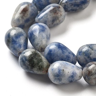 Natural Blue Spot Jasper Beads Strands G-B106-A15-02-1