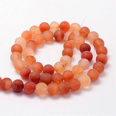 Frosted Natural Carnelian Beads Strands G-F372-8mm-1