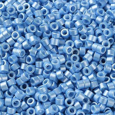 Baking Paint Glass Seed Beads SEED-S042-15A-11-1