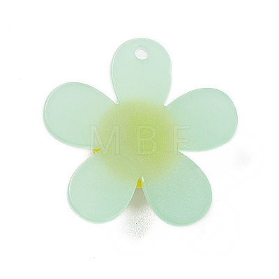 Frosted Translucent Acrylic Pendants OACR-P012-C04-1