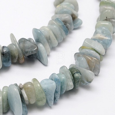 Chips Natural Aquamarine Beads Strands G-N0164-13-1