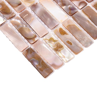 Natural Freshwater Shell Mosaic Tile Cabochons SHEL-Q029-01-1