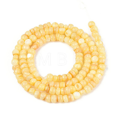 Natural Freshwater Shell Dyed Beads Strands SHEL-T020-29A-08-1