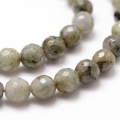 Natural Labradorite Beads Strands X-G-D840-10-6mm-1