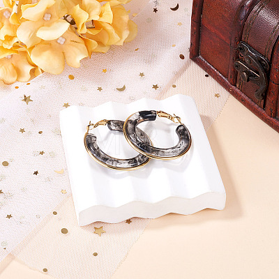1 Pair 304 Stainless Steel Hoop Earrings EJEW-TA0001-89B-1