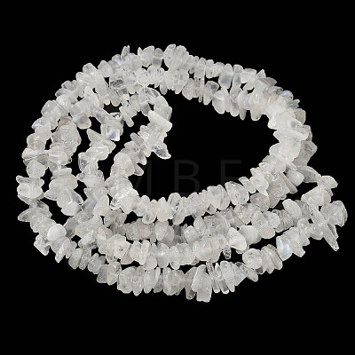 Natural Rainbow Moonstone Chip Beads Strands X-G-C195-01-1
