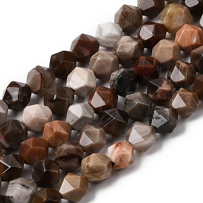 Natural Petrified Wood Beads Strands G-Z119-A21-01-1