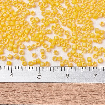 MIYUKI Delica Beads SEED-JP0008-DB1592-1