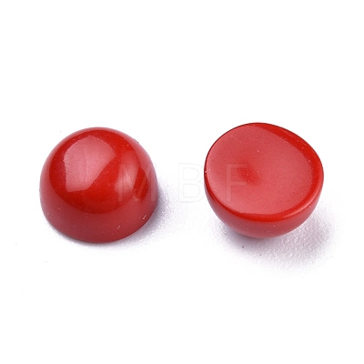 Synthetic Coral Cabochons G-P393-R65-6MM-1