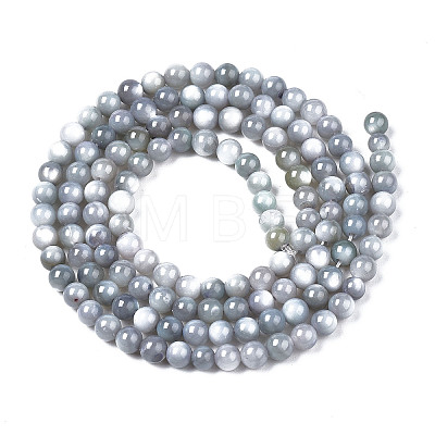 Natural Freshwater Shell Beads Strands X-BSHE-T009A-01K-1