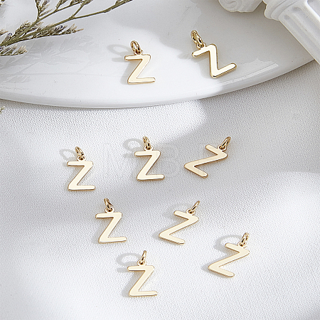 8Pcs Brass Charms KK-LP0001-85Z-1
