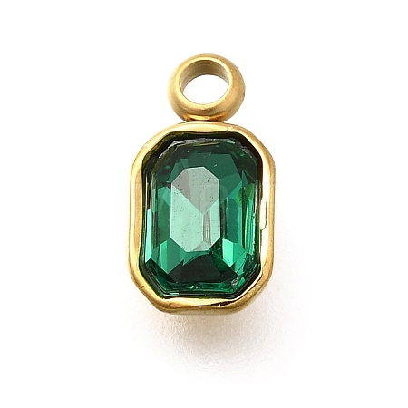 304 Stainless Steel Pendants STAS-Q346-03G-08-1