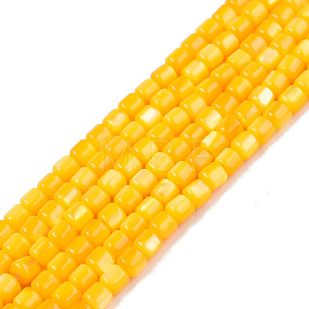 Natural Freshwater Shell Beads Strands SHEL-N003-33-A08-1