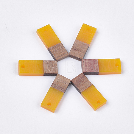 Resin & Walnut Wood Pendants RESI-S358-79K-1