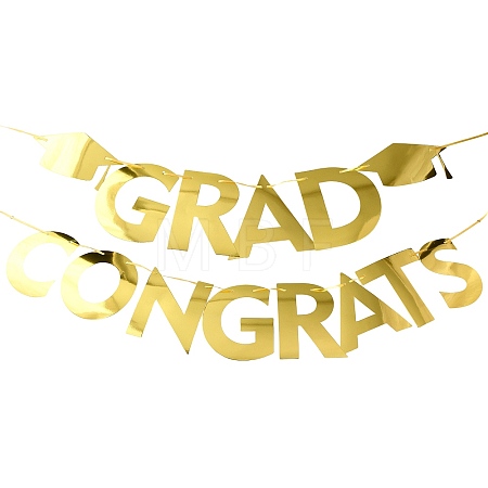 Word Congrats Grad Paper Hanging Banner TH-FZC50F9-01B-1