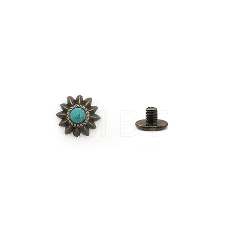 Zinc Alloy Decorative Rivets PW-WG1362F-09-1