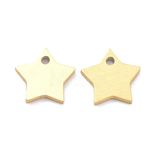 Ion Plating(IP) 304 Stainless Steel Pendants STAS-K216-46G-1