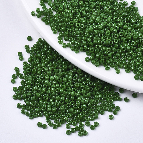Baking Paint Glass Seed Beads SEED-S042-05A-04-1