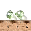 Transparent Glass Charms GLAA-P070-A06-4