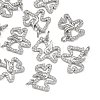SHEGRACE Brass Micro Pave Clear Cubic Zirconia Charms XGRQ4S052-749P-1