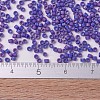 MIYUKI Delica Beads Small SEED-JP0008-DBS0880-4