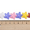Baking Paint Glass Beads LAMP-C021-01K-4