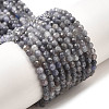 Natural Tanzanite Beads Strands G-S387-A01-3mm-2