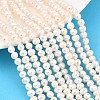 Natural Cultured Freshwater Pearl Beads Strands PEAR-D003-01C-02-1