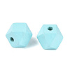 Spray Painted Wood European Beads WOOD-F017-07A-2