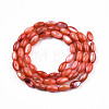 Natural Freshwater Shell Beads Strands SHEL-N026-212-B03-2