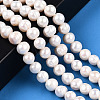 Natural Cultured Freshwater Pearl Beads Strands X-PEAR-N013-17N-01-2