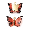 Transparent Resin Pendants PALLOY-K011-02G-03-1