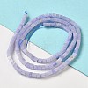 Synthetic Blue Lace Agate Beads Strands G-B064-A23-2