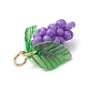 Glass Seed Beaded Grape Pendants PALLOY-MZ00467-02-4