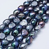 Natural Cultured Freshwater Pearl Beads Strands PEAR-K004-05D-01-1