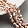 Natural Cultured Freshwater Pearl Beads Strands PEAR-P062-24C-2