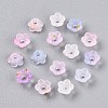 Frosted Transparent Acrylic Beads OACR-N137-72C-2