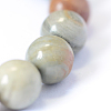 Natural Silver Leaf Jasper Round Bead Strands X-G-E334-6mm-04-4