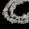 Natural Quartz Crystal Chip Beads Strands X-G-M205-01A-4
