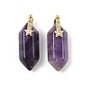 Natural Amethyst Double Terminal Pendants GG-CBA4154-07G-05-1